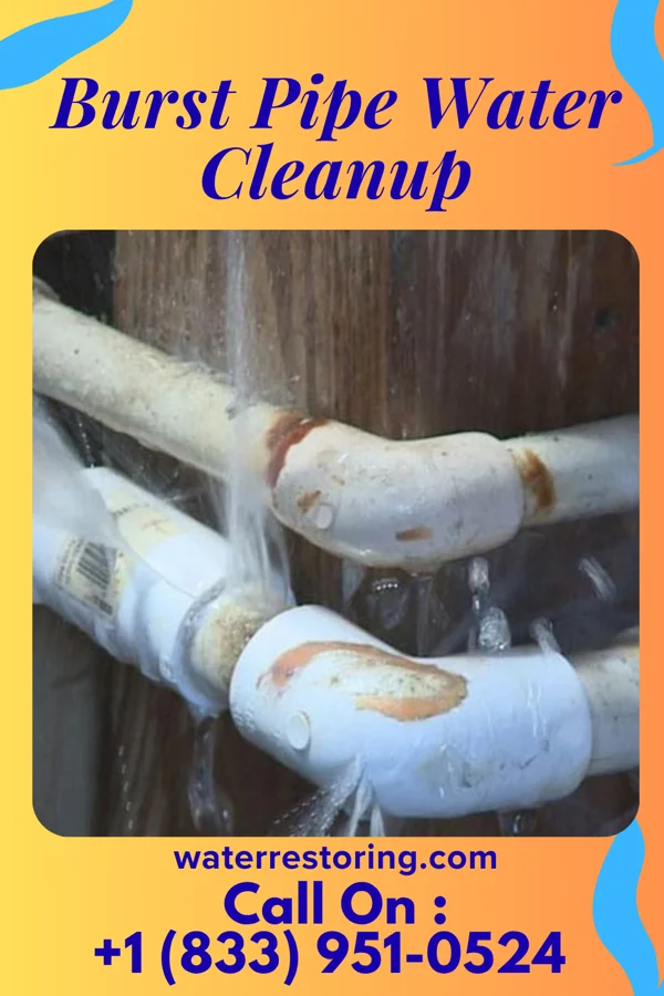 Burst Pipe Water Cleanup in Madison, VA