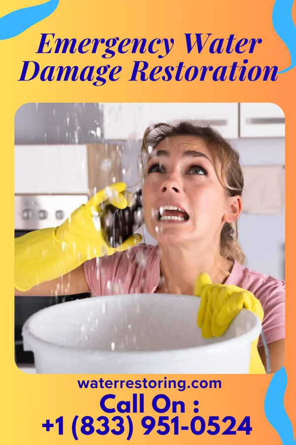 Emergency Water Damage Restoration in Madison, VA