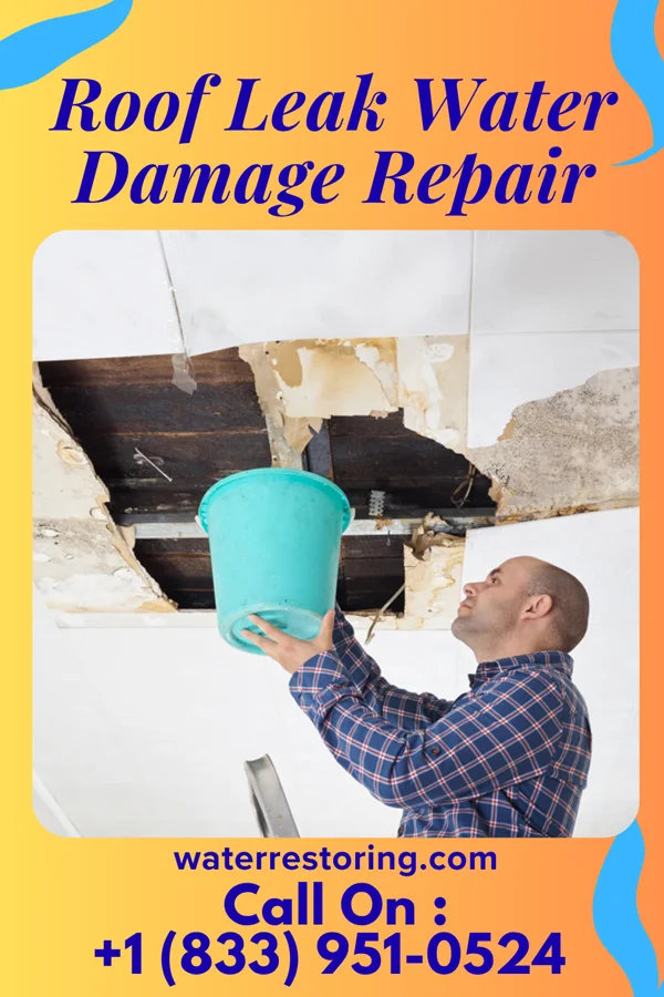 Roof Leak Water Damage Repair in Madison, VA