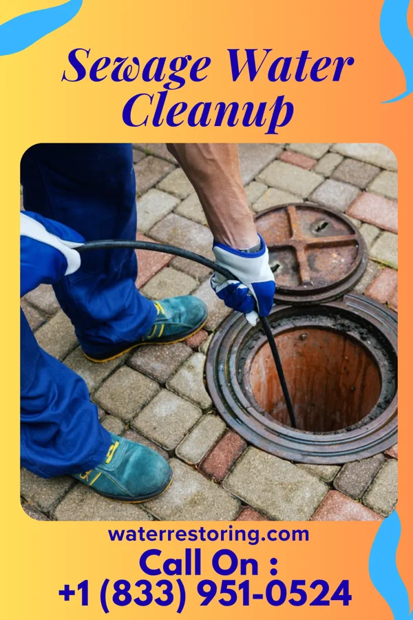 Sewage Water Cleanup in Madison, VA