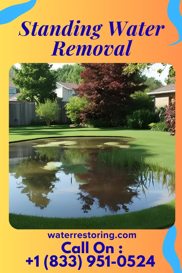 Standing Water Removal in Madison, VA